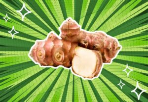 substitutes-for-jerusalem-artichokes