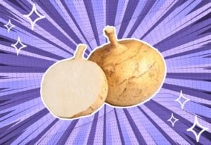 substitutes-for-jicama