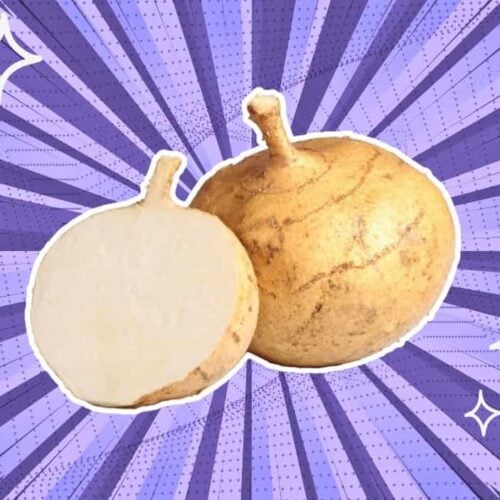 substitutes-for-jicama