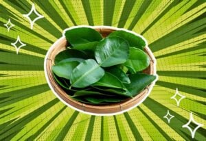 substitutes-for-kaffir-lime-leaves