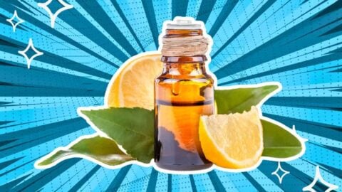 5 Top Substitutes for Gruyère Cheese: Quick and Easy