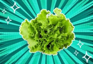 substitutes-for-lettuce