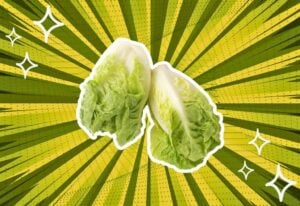 substitutes-for-little-gem-lettuce