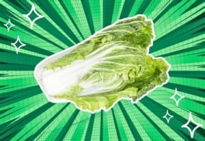 substitutes-for-napa-cabbage
