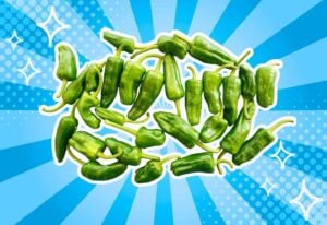 substitutes-for-padron-peppers