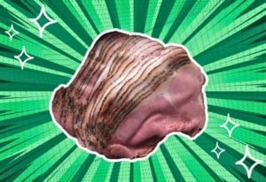 substitutes-for-pastrami