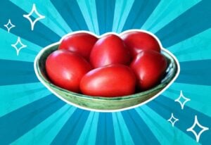 substitutes-for-plum-tomatoes