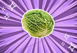 substitutes-for-savoy-cabbage