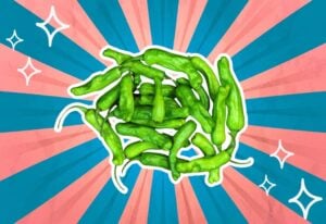 substitutes-for-shishito-peppers