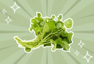 substitutes-for-watercress