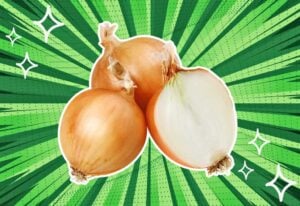 substitutes-for-yellow-onions
