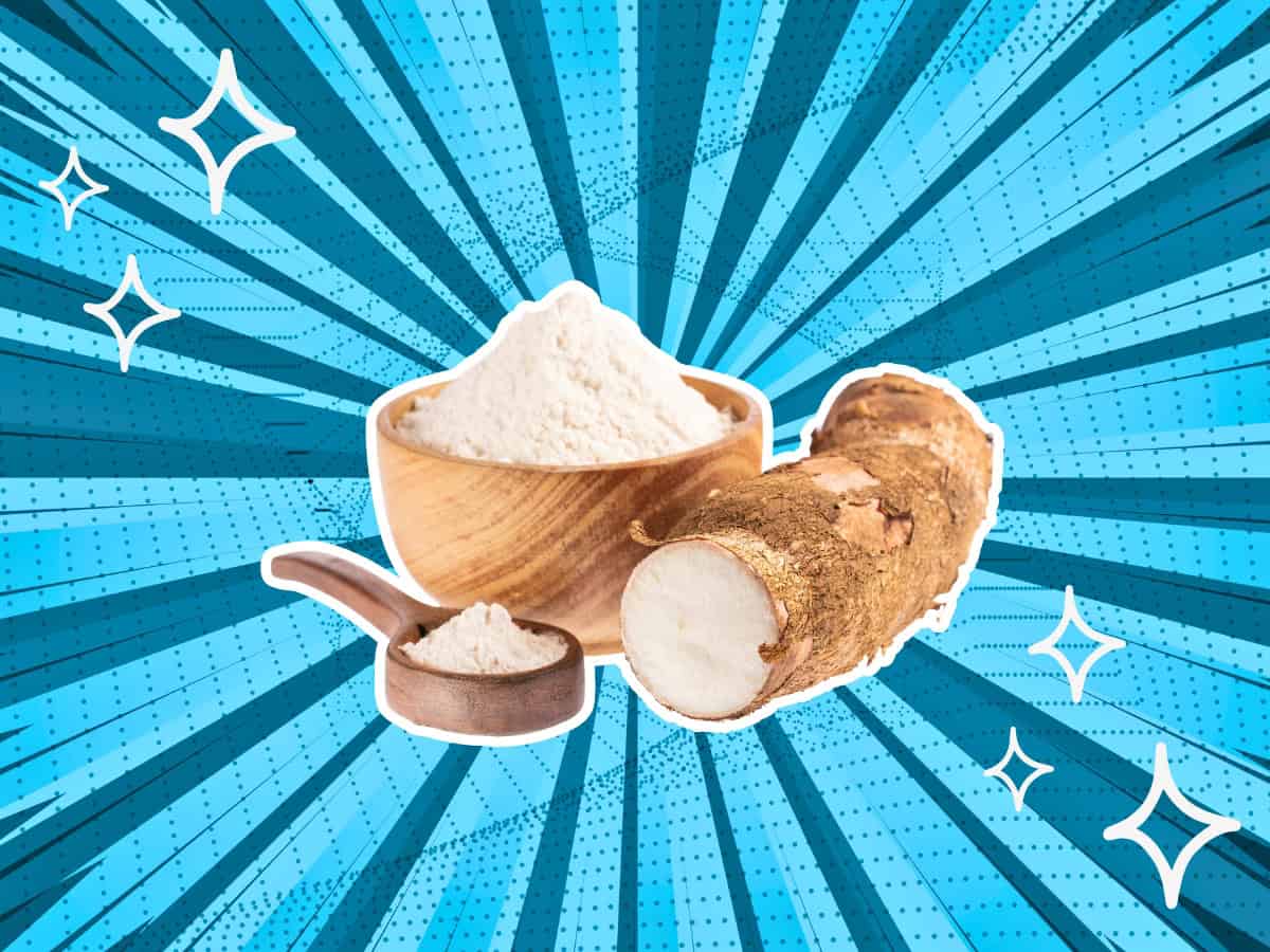 substitutes-for-Arrowroot-Powder