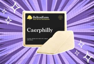 substitutes-for-Caerphilly-Cheese