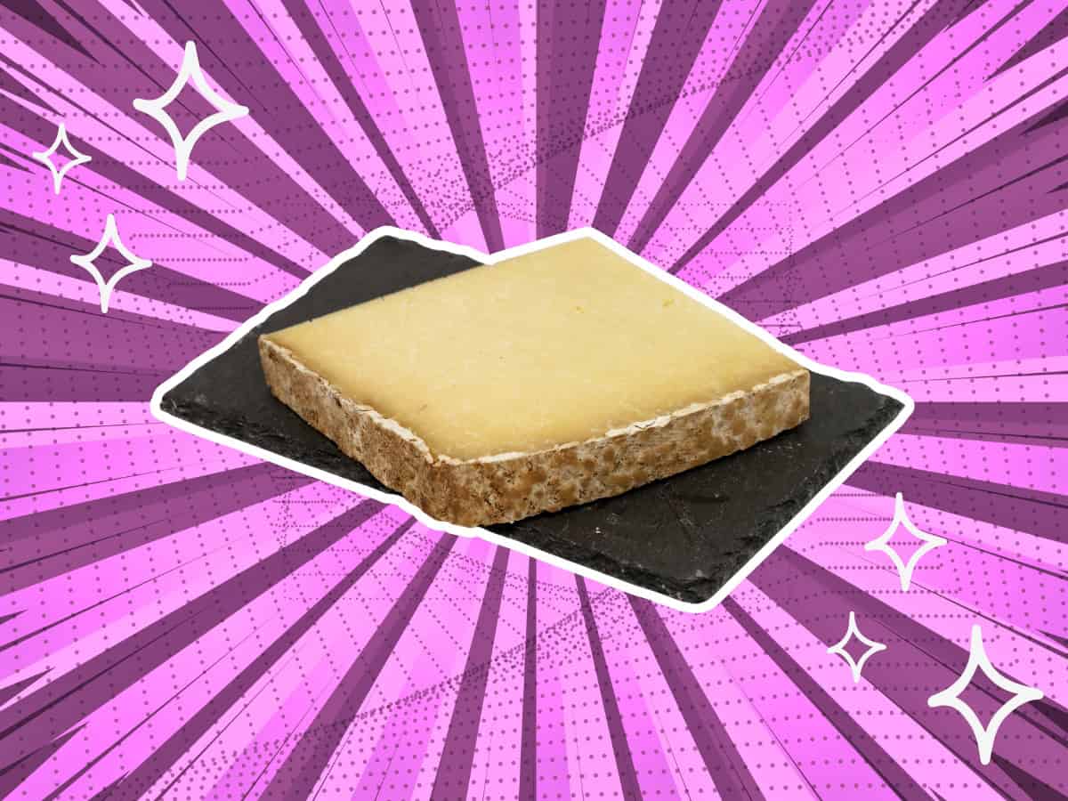 6 Easy Cantal Cheese Substitutes Infuse New Tastes