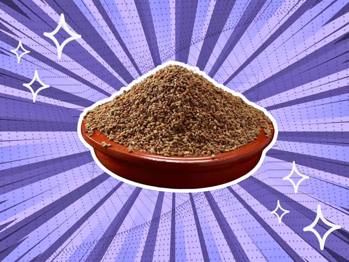 substitutes-for-Carom-Seeds