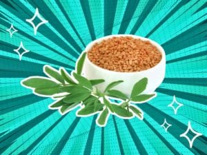 substitutes-for-Fenugreek-Seeds