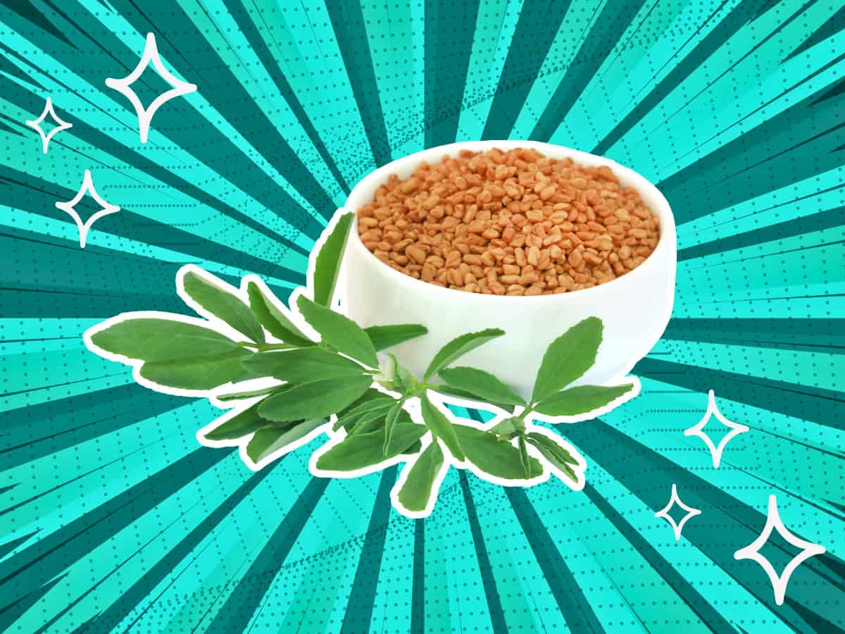 7 Fenugreek Seed Substitutes Enhance Your Cooking