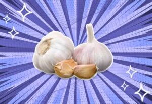 substitutes-for-Garlic-Cloves