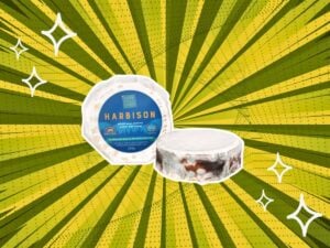 substitutes-for-Harbison-cheese
