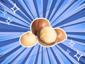 substitutes-for-Macadamia-Nuts