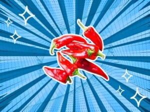 substitutes-for-Piquillo-Peppers