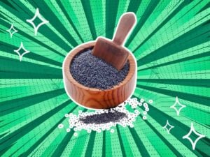 substitutes-for-Poppy-Seeds