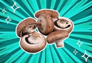 substitutes-for-Portobello-Mushrooms