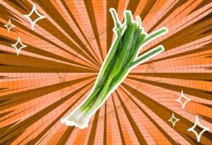 substitutes-for-Scallions