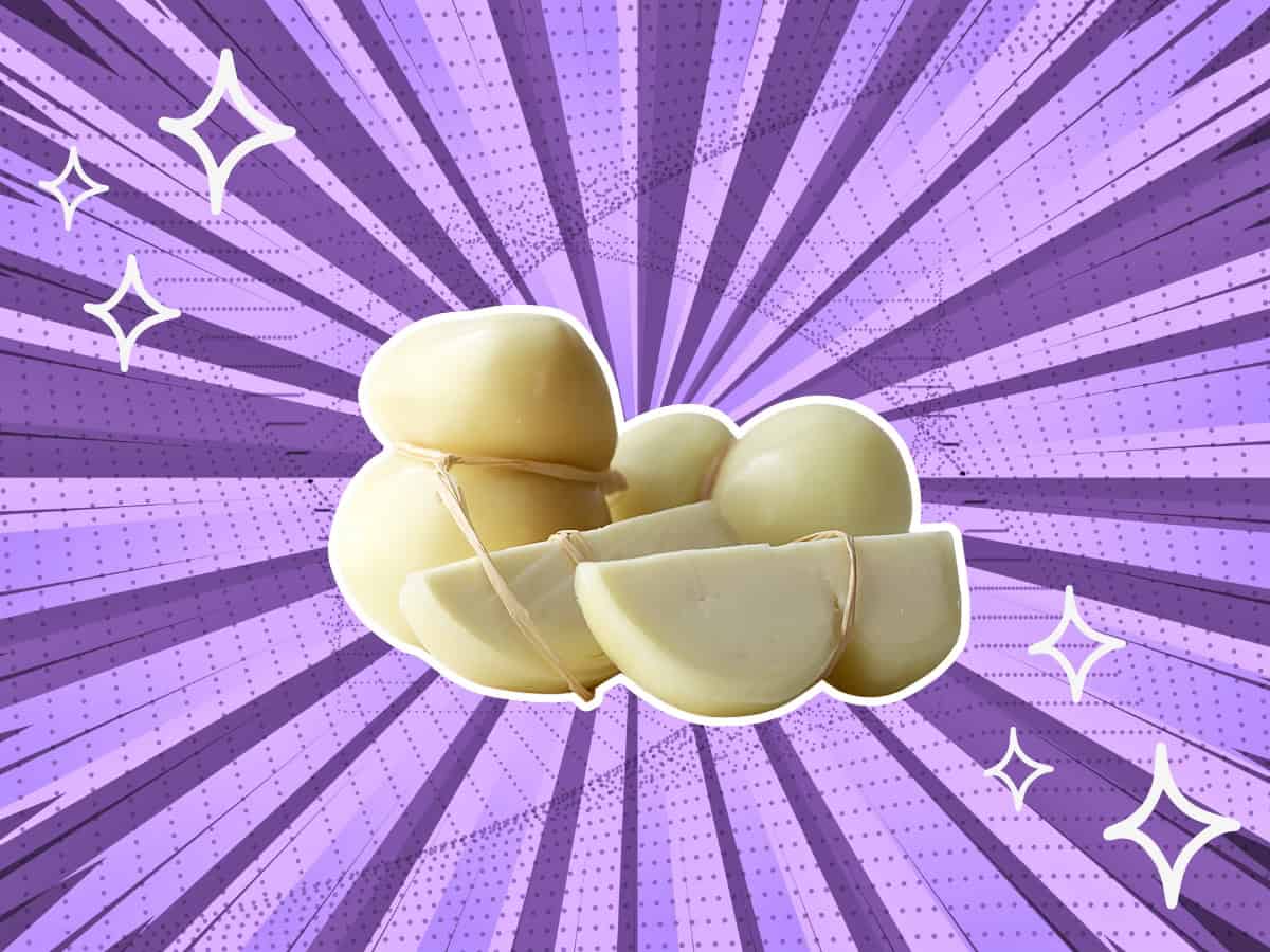 6-easy-scamorza-cheese-substitutes-boost-with-zest-2026