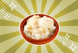 substitutes-for-Schmaltz