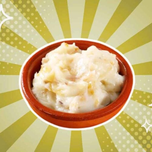substitutes-for-Schmaltz