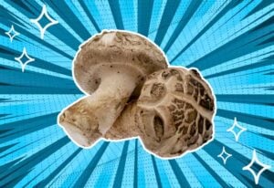 substitutes-for-Shiitake-Mushrooms