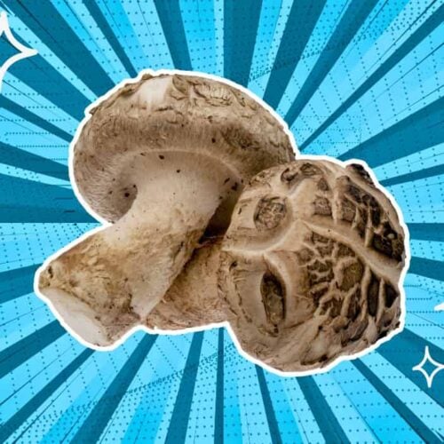 substitutes-for-Shiitake-Mushrooms