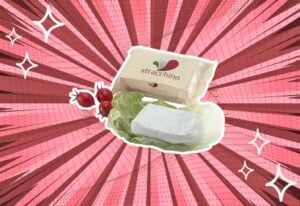 substitutes-for-Stracchino-Cheese