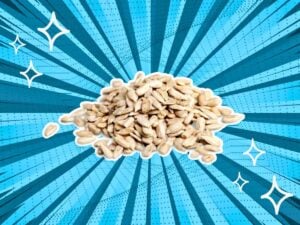 substitutes-for-Sunflower-Seeds