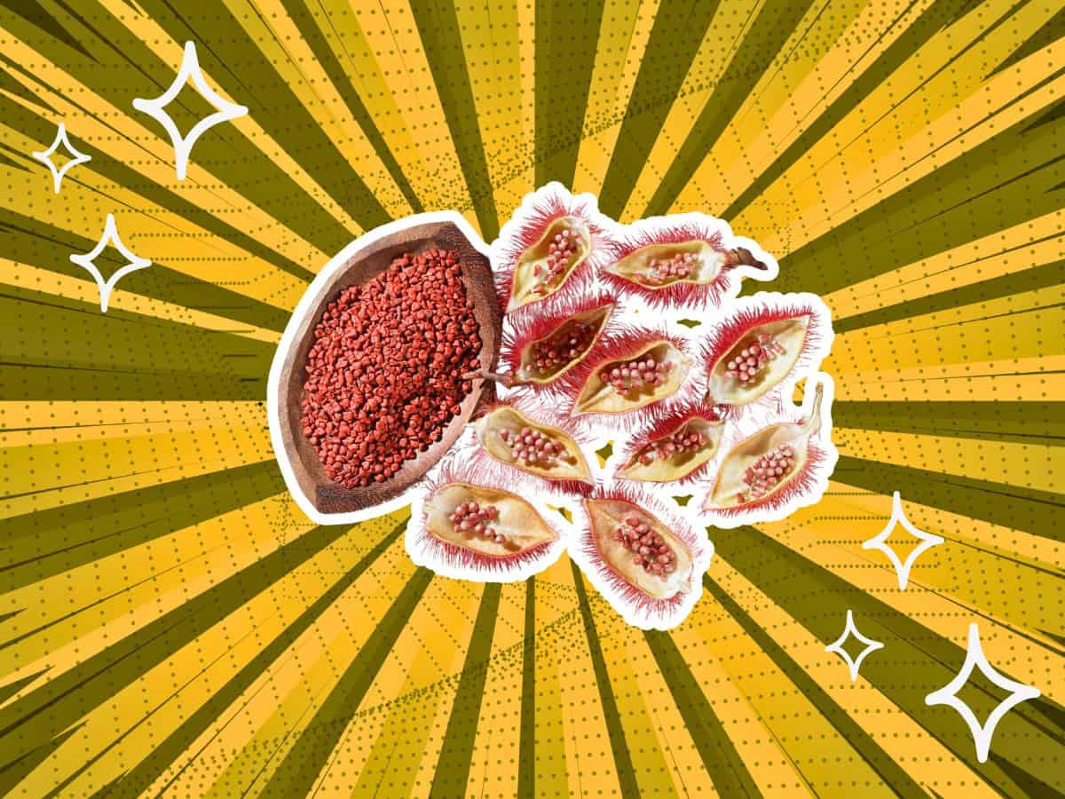 substitutes-for-annatto-seeds