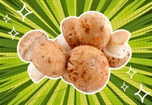substitutes-for-cremini-mushrooms