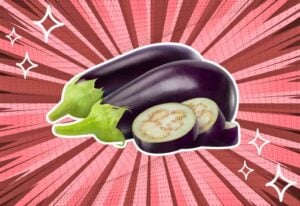 substitutes-for-eggplant