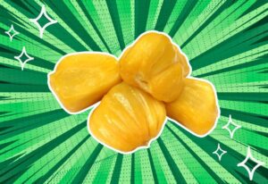 substitutes-for-jackfruit