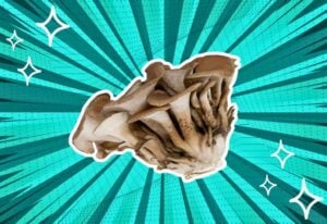 substitutes-for-maitake-mushrooms