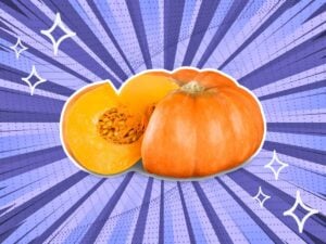 substitutes-for-pumpkin