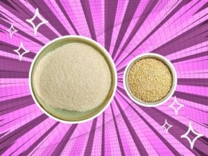 substitutes-for-quinoa-flour
