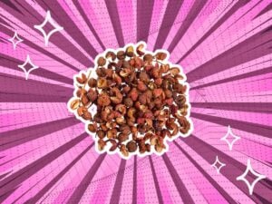 substitutes-for-sichuan-peppercorns
