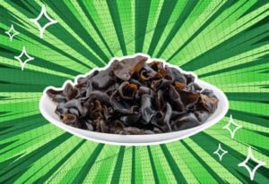 substitutes-for-wood-ear-mushrooms