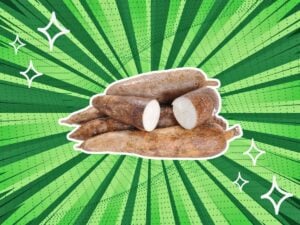 substitutes-for-yuca