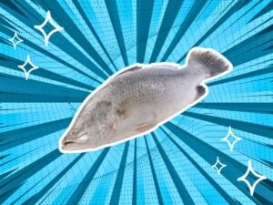 substitutes-for-Barramundi