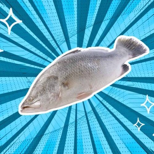 substitutes-for-Barramundi