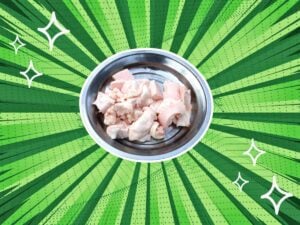 substitutes-for-Beef-Tallow