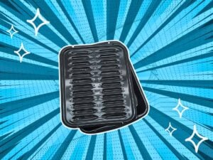 Substitutes For Broiler Pan