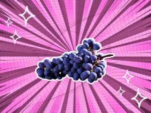 substitutes-for-Cabernet-Sauvignon